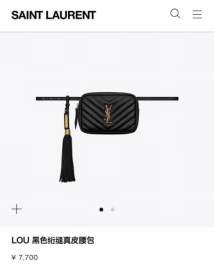 Picture of Saint Laurent Handbags _SKUfw167179307fw